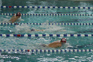 开云平台-中国游泳运动员世锦赛接力项目表现抢眼，中国游泳接力夺金