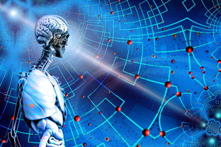 kaiyun体育综合-体育新闻中心上线体育赛事数据可视化展示平台，体育新闻(全程回放)